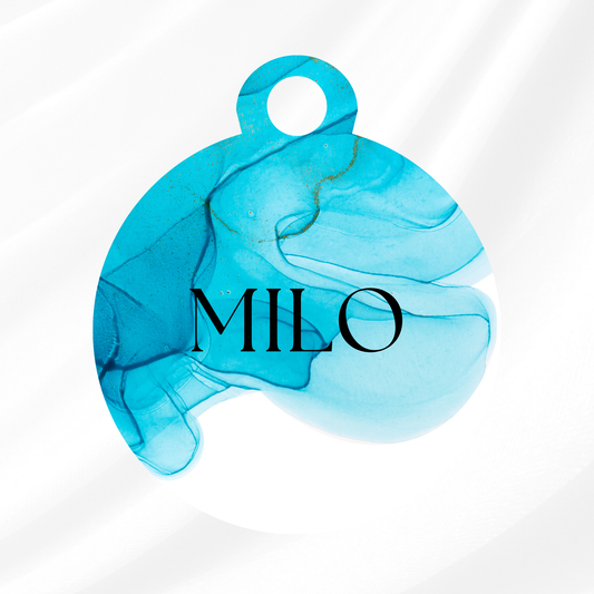 Blue Marble Pet ID Tag