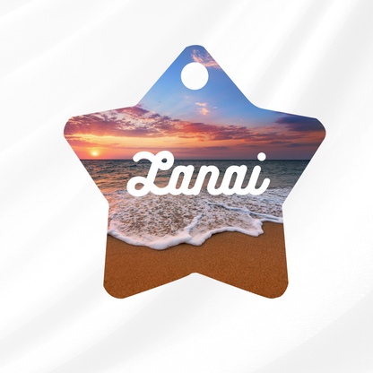 Ocean Pet ID Tag